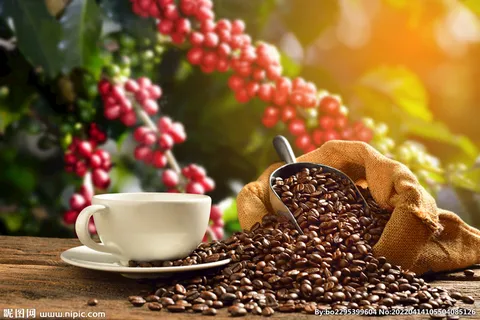 咖啡豆图片