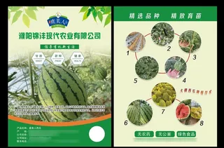 西瓜宣传页图片