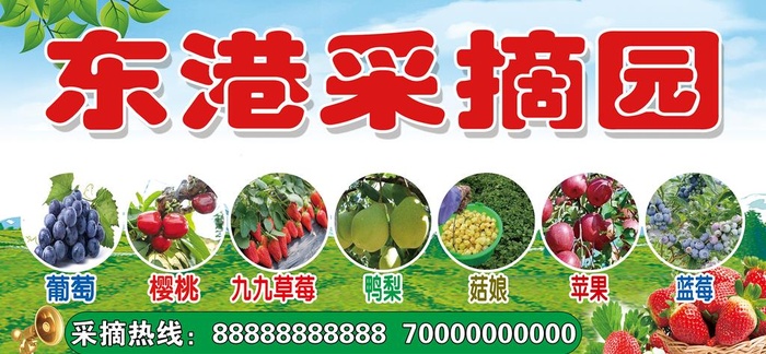 东港采摘园 喷绘布 九九草莓图片