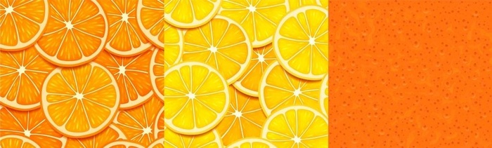 橘子图片ai矢量模版下载