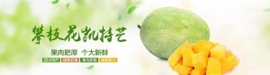 芒果图片