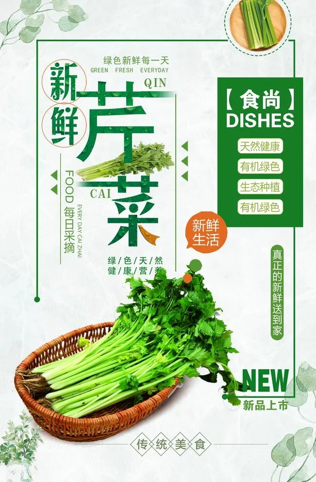 芹菜  图片
