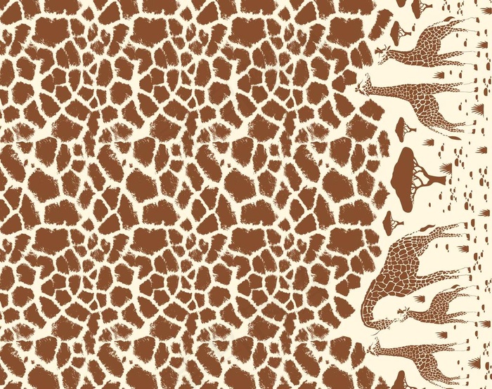 豹纹定位花图片