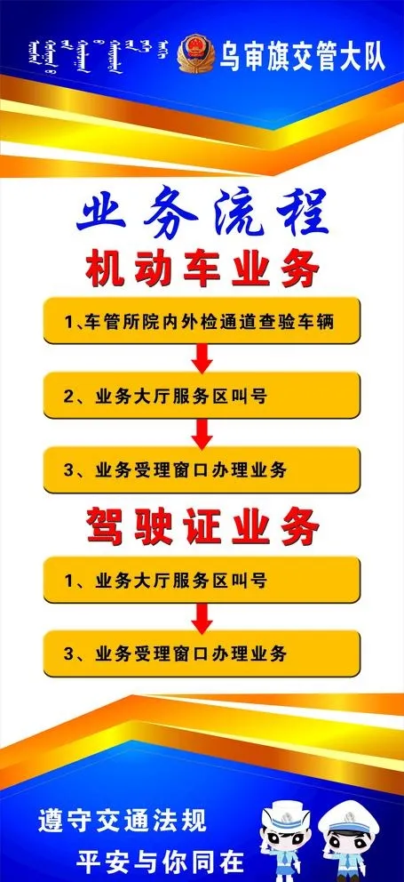 车管所业务流程图片