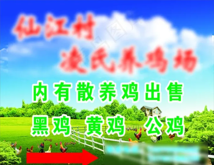 养鸡场图片cdr矢量模版下载