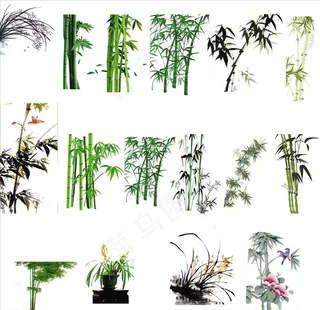 竹图片