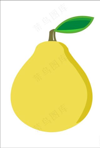 矢量柚子 水果图片