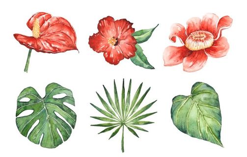 花卉 矢量花图片 花卉 矢量花图片