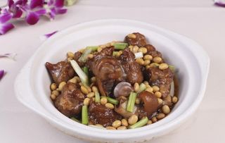 黄豆猪手煲图片