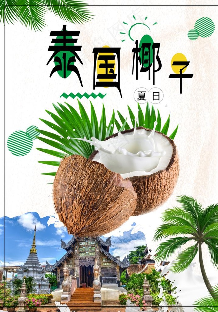 泰国椰子图片