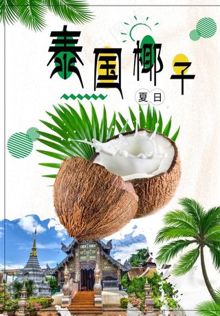 泰国椰子图片