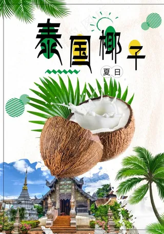 泰国椰子图片