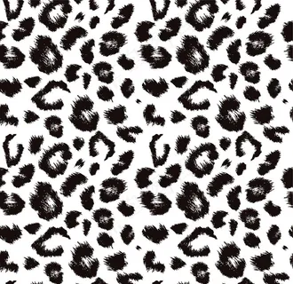 黑色豹纹图片