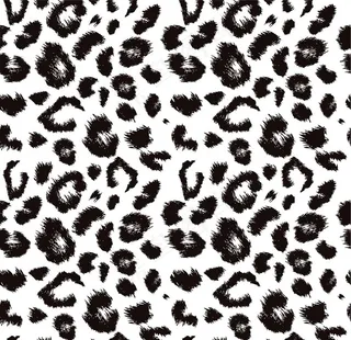 黑色豹纹图片