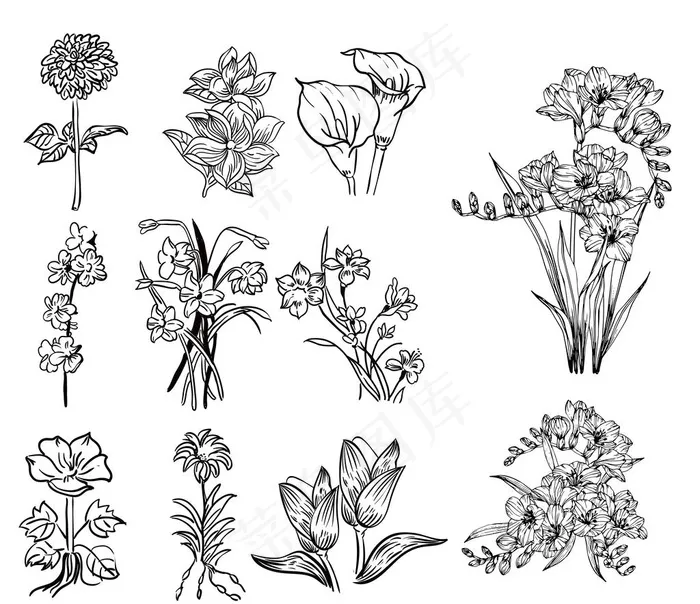 花手绘图片ai矢量模版下载
