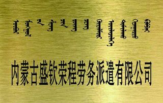 公司 钛金牌图片