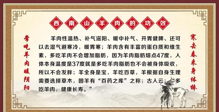 羊肉的功效图片cdr矢量模版下载