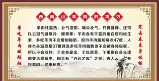 羊肉的功效图片