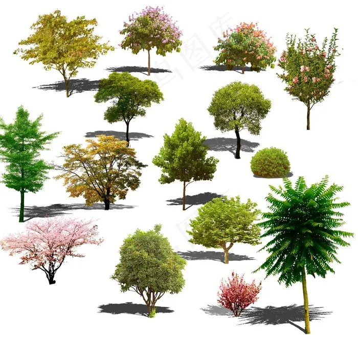 绿化树图片(2500X2500(DPI:300))psd模版下载