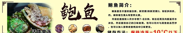 鲍鱼不干胶图片