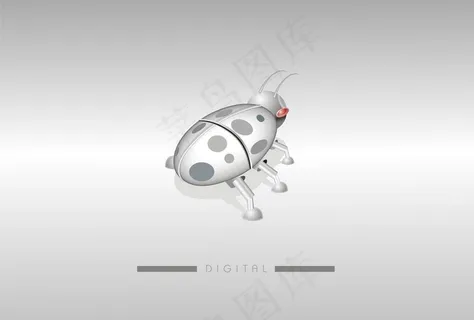 瓢虫 科技昆虫图片