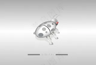 瓢虫 科技昆虫图片