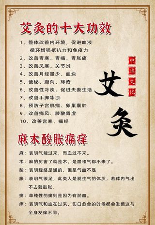 艾灸养生 中医艾灸图片