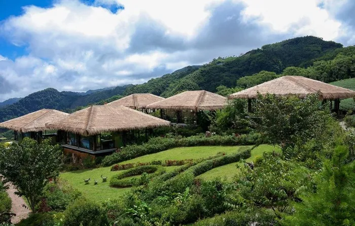 阿里山图片