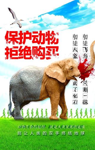 保护动物图片