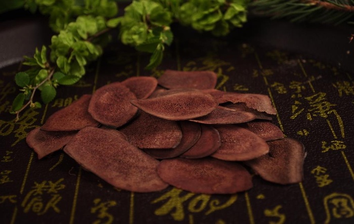 鹿茸图片
