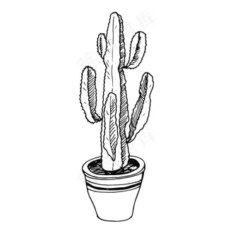 植物线稿图片