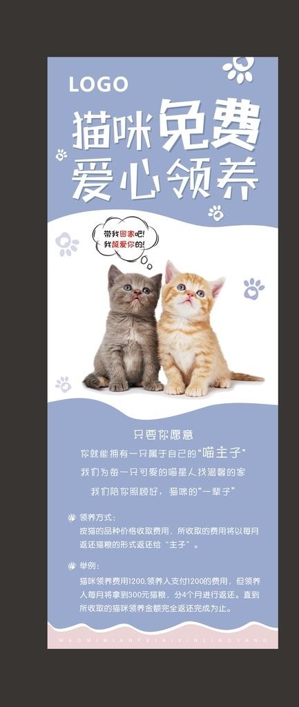 猫咪免费领养图片cdr矢量模版下载