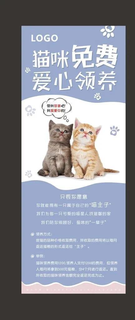 猫咪免费领养图片cdr矢量模版下载