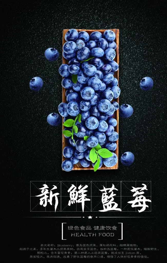 蓝莓海报图片psd模版下载