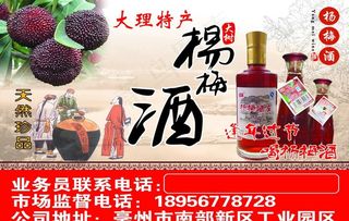 杨梅酒图片
