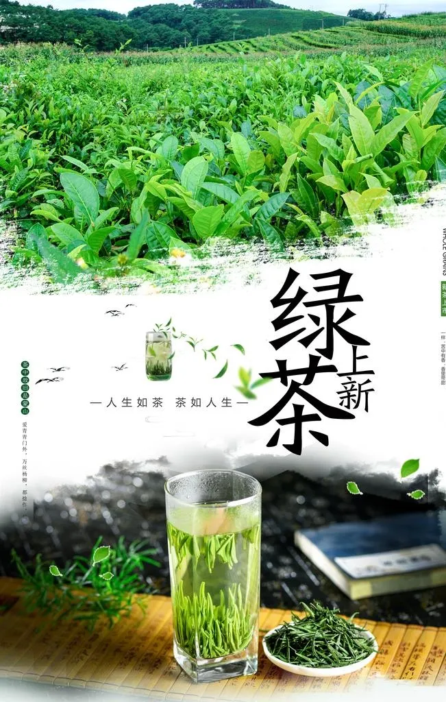 绿茶上新图片(3543x5315)psd模版下载