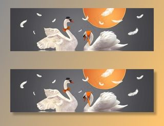 唯美天鹅羽毛床头画图片