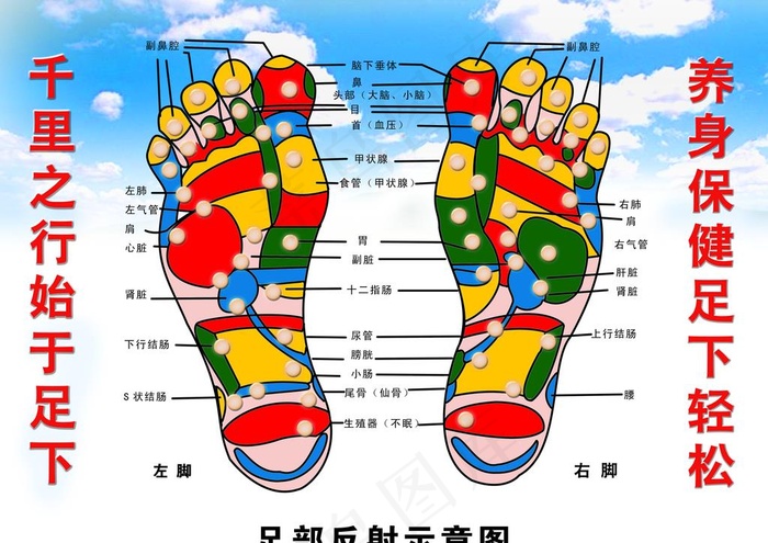 足部反射图片psd模版下载