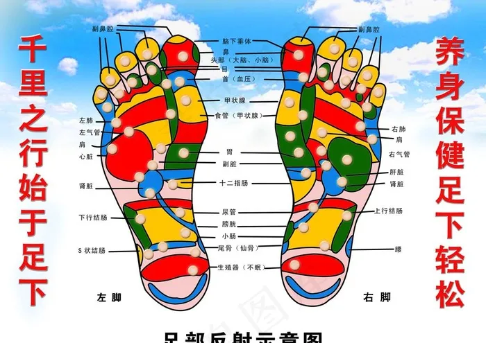足部反射图片psd模版下载
