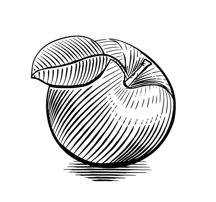 版画苹果图片eps,ai矢量模版下载