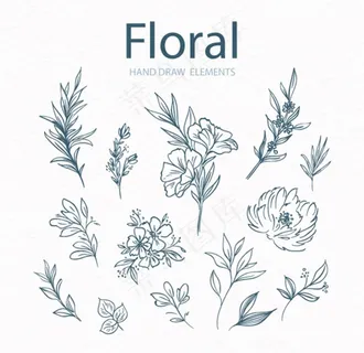 手绘线稿花图片