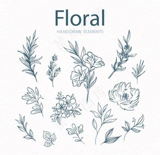 手绘线稿花图片