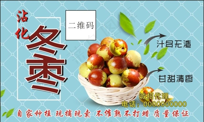 冬枣图片cdr矢量模版下载