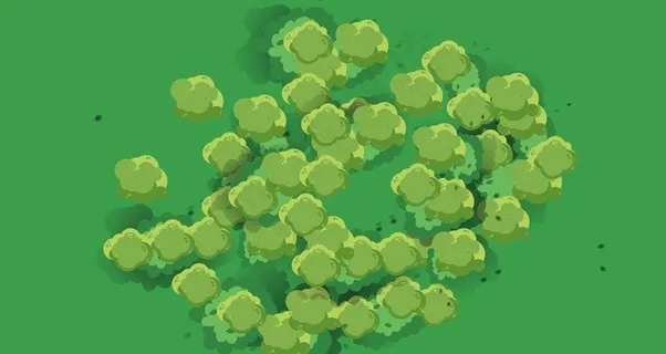 森林俯视图
            
动态预览图