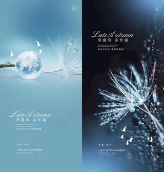 寒露降霜蒲公英系列稿图片