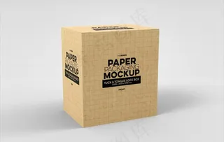 纸盒样机图片