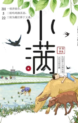 二十四节气小满节气海报图片