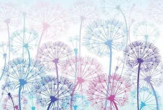 蒲公英手绘背景图片