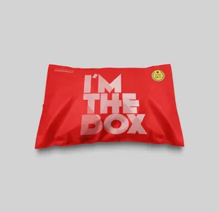 快递袋样机图片