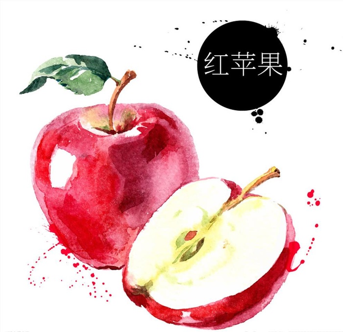 手绘红苹果插画彩绘水果矢量素材图片